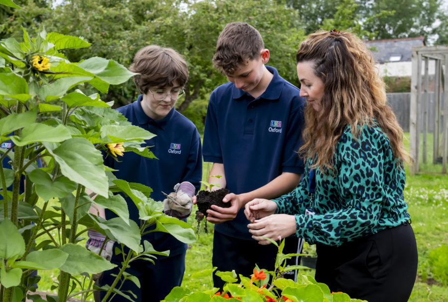 lvs oxford horticulture