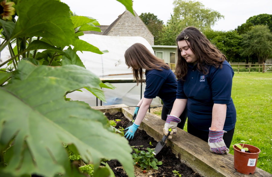 lvs oxford horticulture