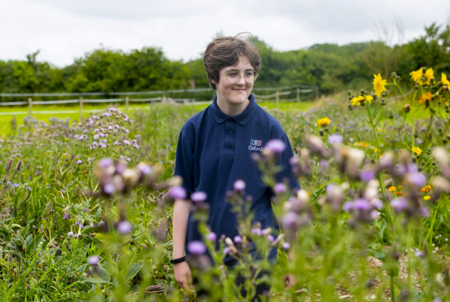 lvs oxford flower maze